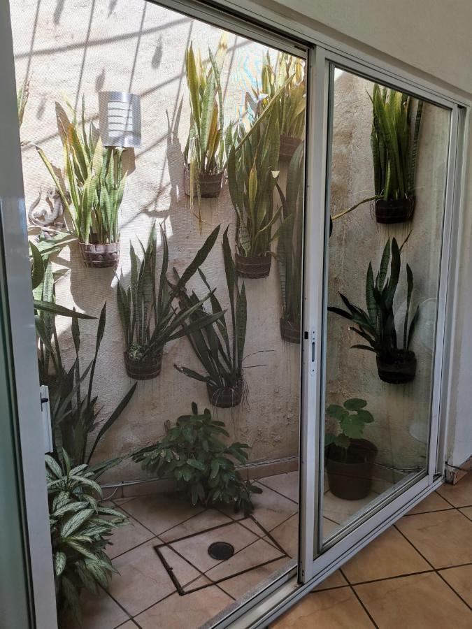 Casa Flor De Mayo 特米斯科 外观 照片